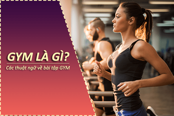 GYM là gì? Các thuật ngữ liên quan đến các bài tập GYM bạn cần biết