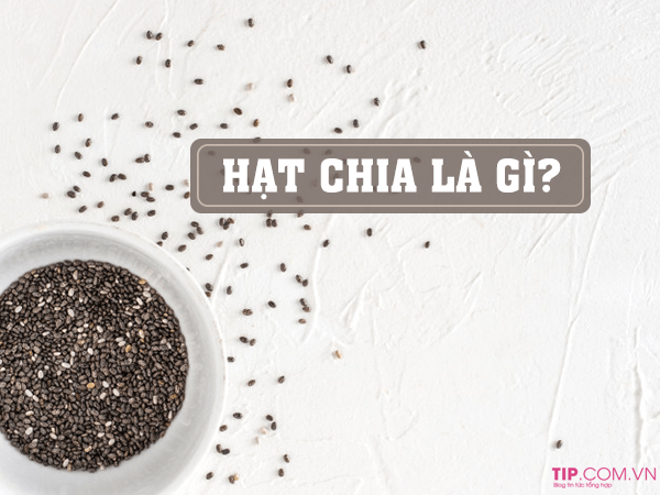 Hạt chia là gì?