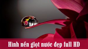 100+ Hình nền, ảnh giọt nước đẹp full HD cho máy tính, điện thoại