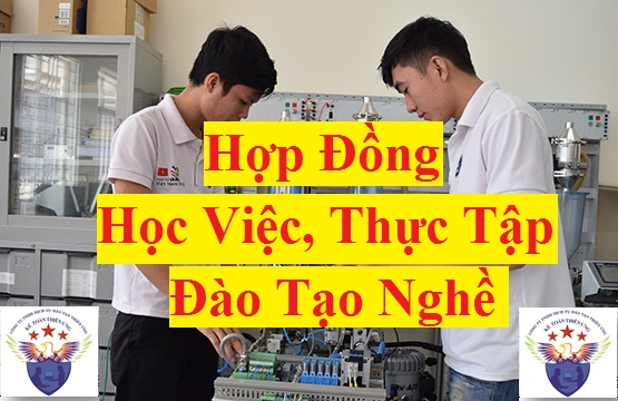 Hợp đồng học việc, thực tập, đào tạo nghề Hợp đồng học việc, thực tập, đào tạo nghề
