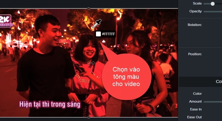 huong-dan-thay-doi-tong-mau-video (8)