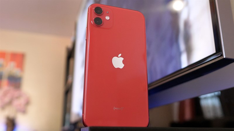 iPhone 11 iPhone 11