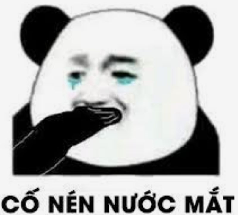 meme Gấu trúc ching chong Meme gấu trúc Ching Chong 3