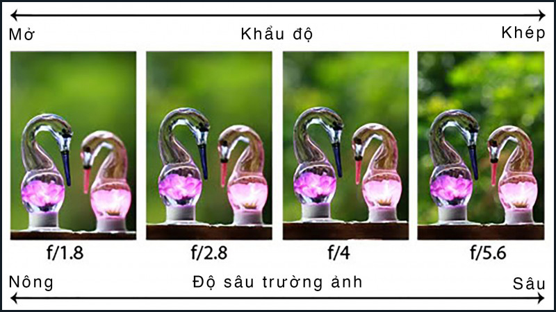 Khẩu độ lớn hay nhỏ sẽ tạo nên độ sâu trường ảnh nông hay sâu