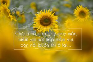 Lời chúc buổi sáng