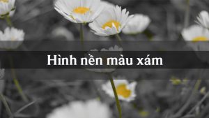 100+ Hình nền, ảnh màu xám đẹp full HD cho máy tính, điện thoại