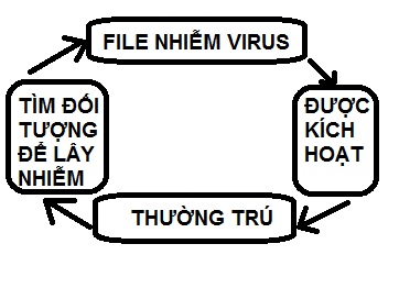 Máy tính bị nhiễm virus như thế nào