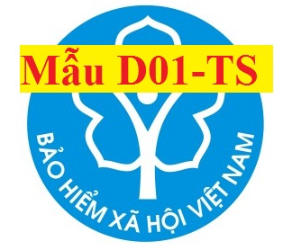 Mẫu D01-TS theo QĐ 595 Mẫu D01-TS theo QĐ 595