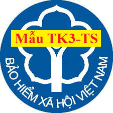 Mẫu TK3 - TS Mẫu TK3 - TS
