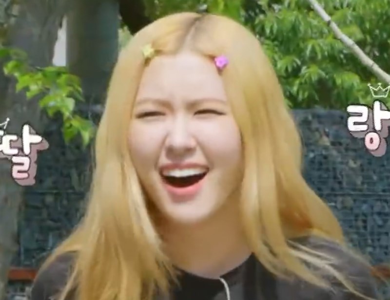 Meme Rose 2 Meme Rose 2