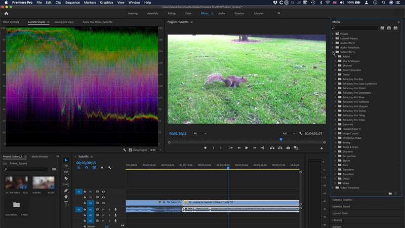 Adobe Premiere Pro Adobe Premiere Pro
