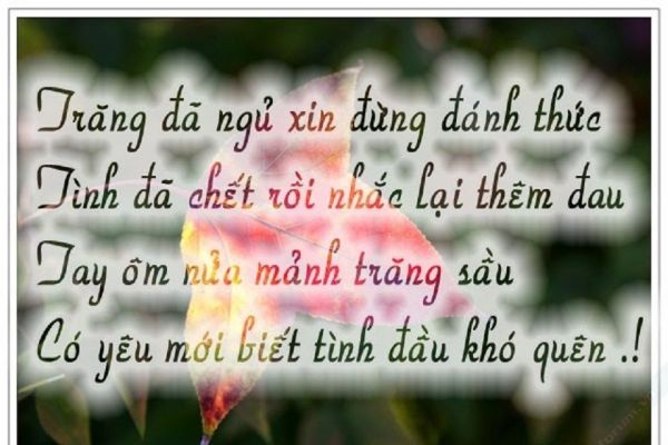 Những bài thơ tình buồn khiến bạn xúc động rơi nước mắt