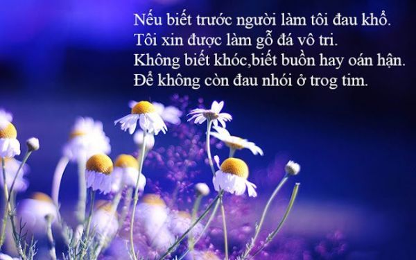 Những bài thơ tình yêu hay