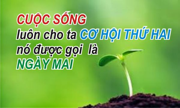 Những câu danh ngôn cuộc sống hay nhất mọi thời đại.