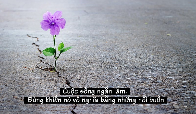 Cuộc sông ngắn lắm đừng khiến nó vô nghĩa Cuộc sông ngắn lắm đừng khiến nó vô nghĩa