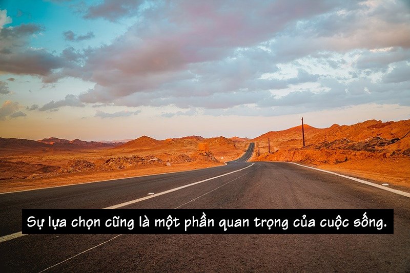 Sự lựa chọn Sự lựa chọn