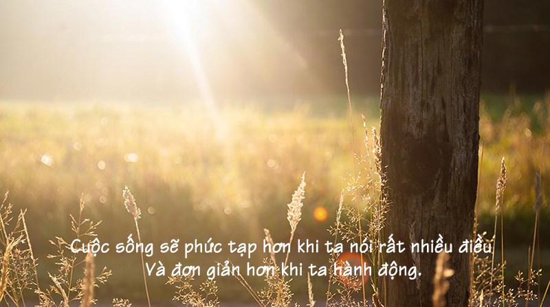 Cuộc sống đơn giản Cuộc sống đơn giản