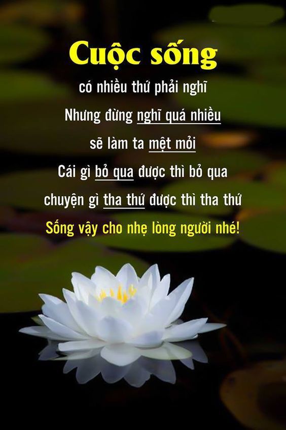 Nhung Cau Noi Day Doi Hay 7