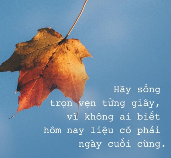 Nhung Cau Noi Ham Y Sau Sac 15