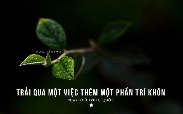 Nhung Cau Noi Ham Y Sau Sac 5