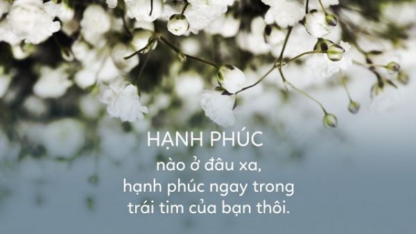 Nhung Cau Noi Hay Ve Cach Song 5