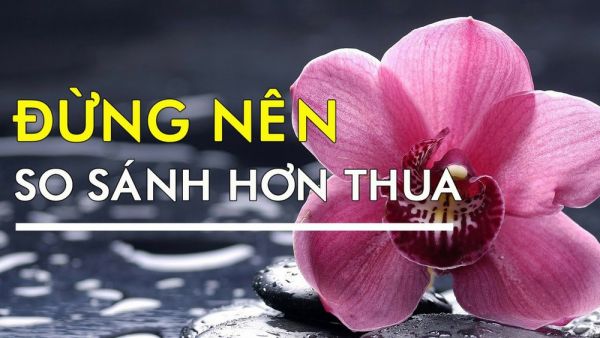 Nhung Cau Noi Hay Ve Cuoc Doi 7