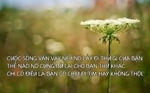 Nhung Cau Noi Hay Ve Cuoc Song Buon Giup Ban Vuc Day