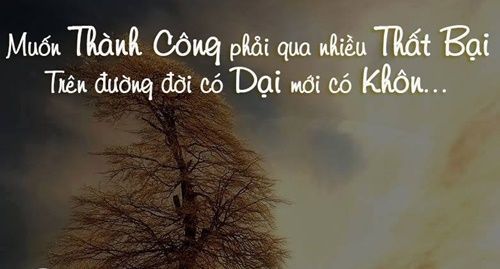 Những câu nói hay về cuộc sống hàng ngày