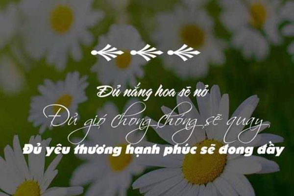 Những câu nói hay về cuộc sống hạnh phúc