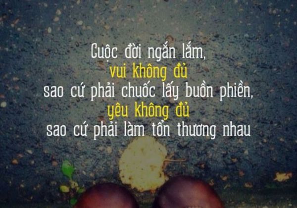 Nhung Cau Noi Hay Ve Cuoc Song Y Nghia