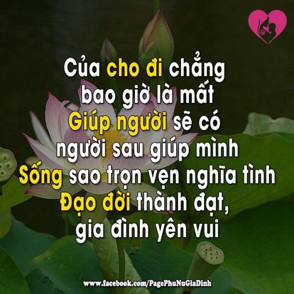 Nhung Cau Noi Hay Ve Doi Nhan Xu The 2