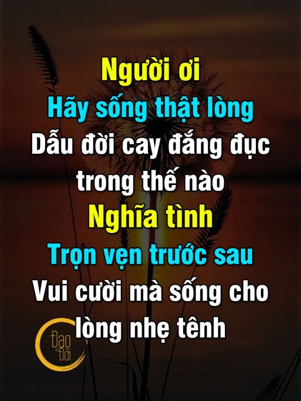 Nhung Cau Noi Hay Ve Doi Nhan Xu The 4