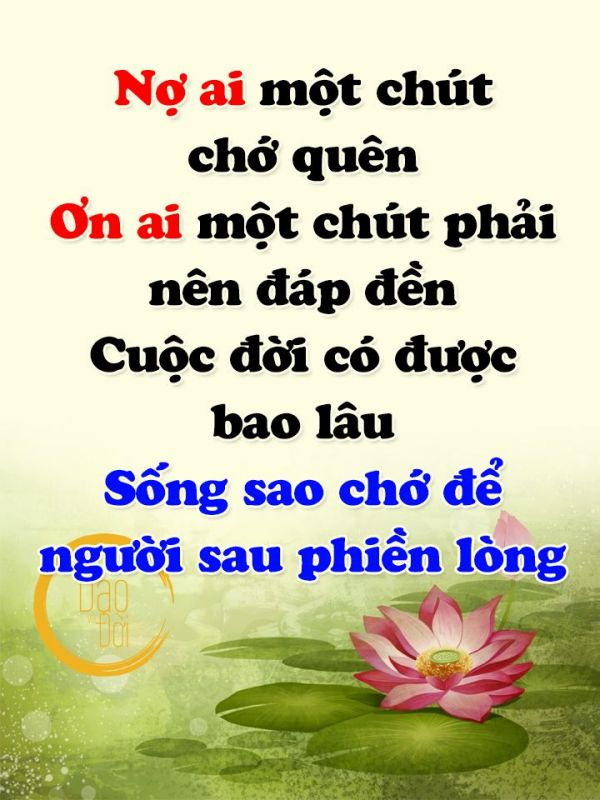 Nhung Cau Noi Hay Ve Doi Nhan Xu The 5