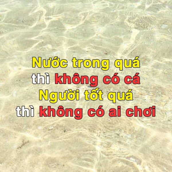 Nhung Cau Noi Hay Ve Long Nguoi 6