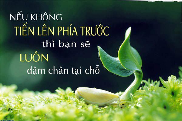 Những câu nói hay về sự thay đổi giúp ích cho cuộc sống của bạn