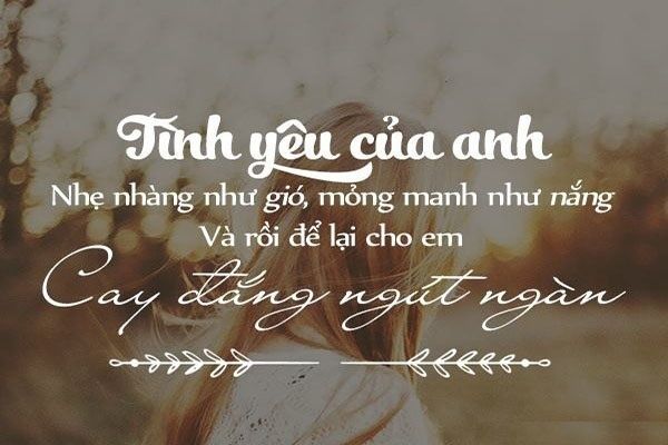 Những câu nói hay về tình cảm khiến trái tim bạn rung động