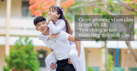 Những câu nói hay về tuổi học trò