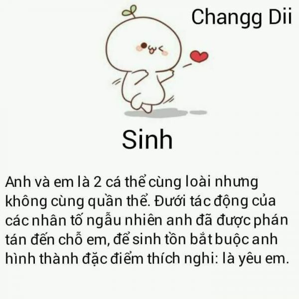 Những câu nói ngôn tình hay cực lãng mạn về tình yêu