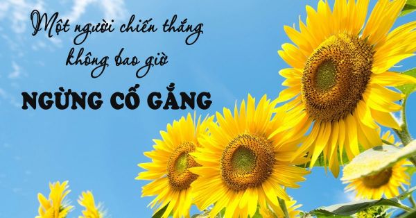 Nhung Cau Noi Ve Su Co Gang Vuon Len 3