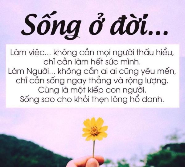 Nhung Cau Tho Hay Ve Cuoc Song 5