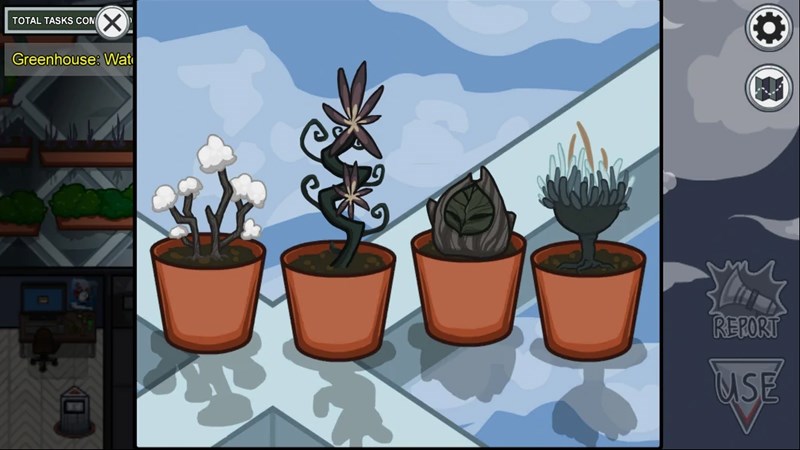 nv21-800x450-1 Water Plants 1
