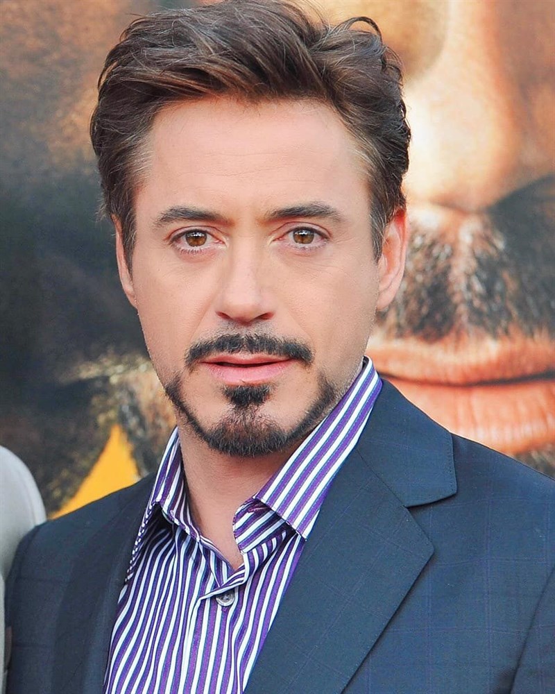 Robert Downey Jr. Robert Downey Jr.