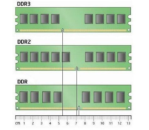 phan-biet-cac-loai-ram-4