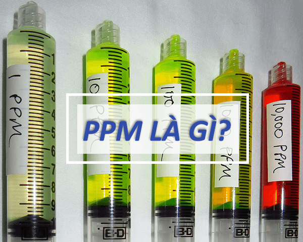 PPM là gì? Tất cả những nghĩa của từ PPM nghĩa là gì?