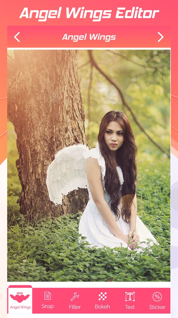 Angel Wings Editor Angel Wings Editor
