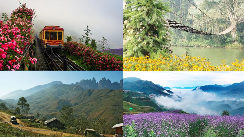 Top 19+ địa điểm du lịch Sapa - Tha hồ cho bạn sống ảo Top 19+ địa điểm du lịch Sapa - Tha hồ cho bạn sống ảo