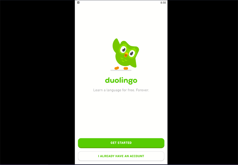Hướng dẫn tải, cài đặt Duolingo về máy tính Hướng dẫn tải, cài đặt Duolingo về máy tính