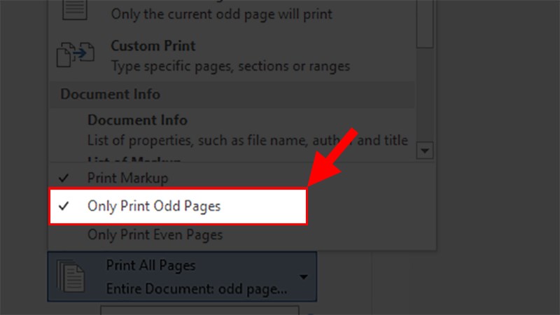 Ở danh sách hiện ra chọn Only Print Odd Pages > Nhấn Print Ở danh sách hiện ra chọn Only Print Odd Pages > Nhấn Print