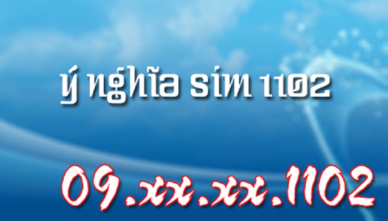 Sim 1102 là gì bạn có biết?