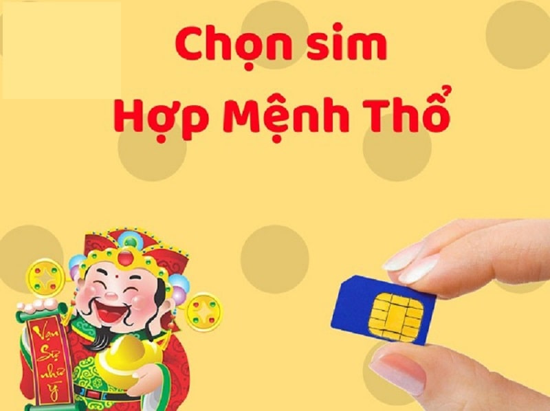 sim-cho-nguoi-menh-tho Sim cho người mệnh Thổ